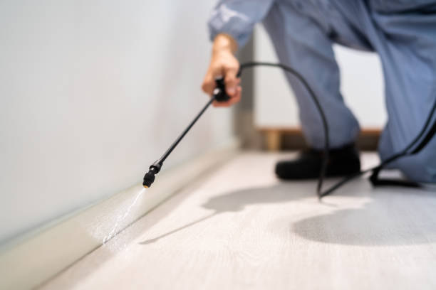 Bed Bug Pre-Treatment Preparation Assessment in Gilbert